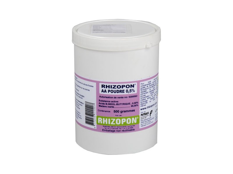 Rhizopon AA 0,5% ou 1%