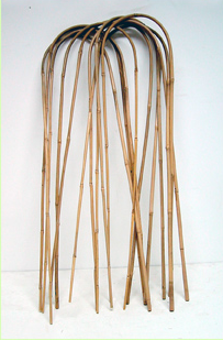 Arceaux bambou