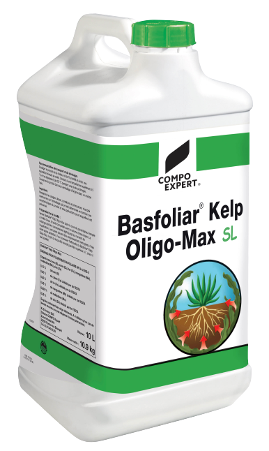 Basfoliar Kelp Oligo-Max