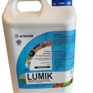Lumik