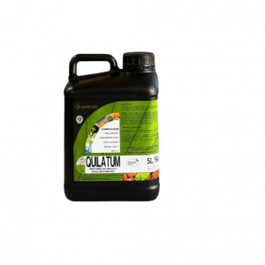 Quilatum