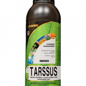 Tarssus