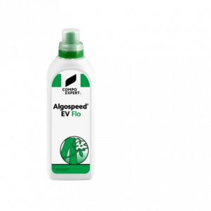 Algospeed EV