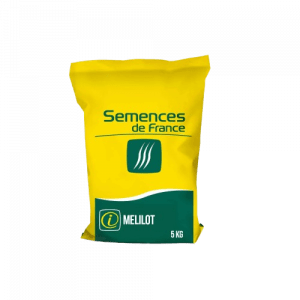 Graines de mélilot jaune