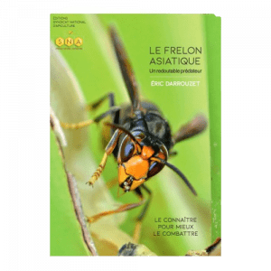 Le frelon asiatique