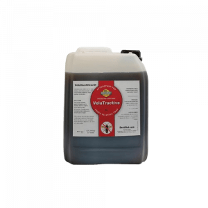 Attractif frelon asiatique - 5L