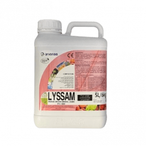 Lyssam