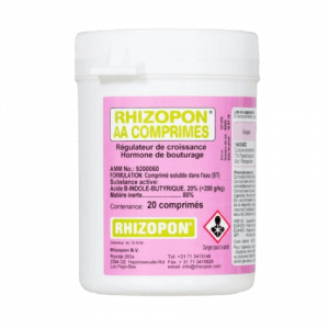 Rhizopon AA comprimés
