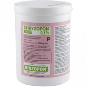 Chryzopon rose 0.1%